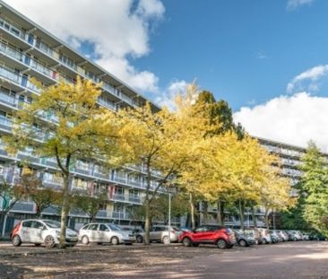 Apartment Leiden - Zijldonk - Foto 1