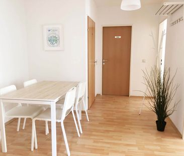 Sonnleithnergasse Top 95 Zimmer 2 - Photo 1