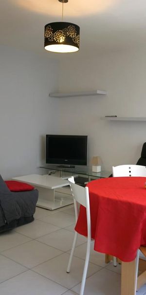 Location Appartement 2 pièces Meublé 46m² ANNECY 74000 - Photo 1