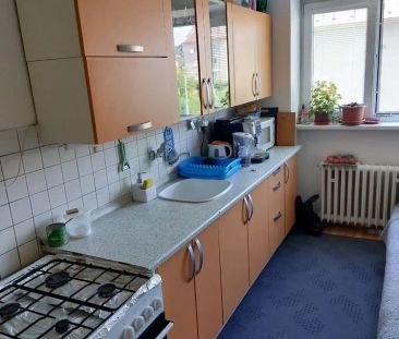 Pronájem bytu 1+1 - Fotografie 3