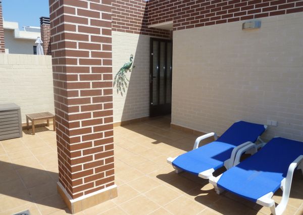 15 Sinergia World II – Id. 428