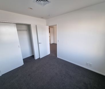 Albany - modern apartment fantastic location - Photo 2