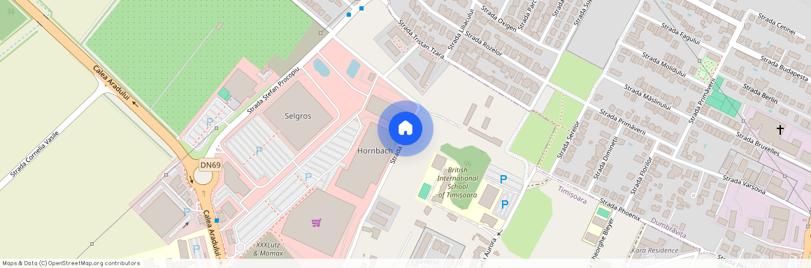 Timisoara, Timis