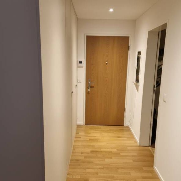Nachmieter gesucht! Moderne 2.5-Zimmer-Wohnung mit Balkon in Emmen - Foto 1