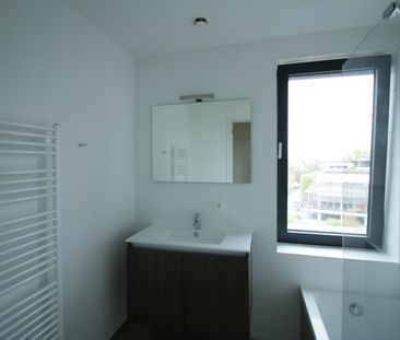 Live with the owner - 1 bedroom apartment - Photo 4