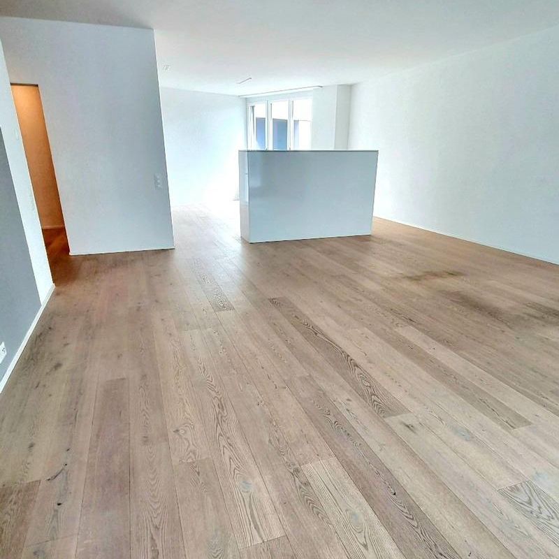 Grosszügige 3 1/2-Zimmer-Wohnung im Richtiareal Wallisellen - Photo 1