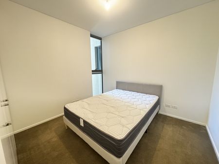 18 Park Lane, Chippendale NSW 2008 - Apartment For Rent | Domain - Photo 3