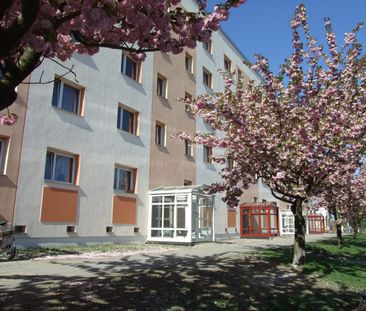 1 Raum-Wohnung mit verglastem Balkon - Foto 1