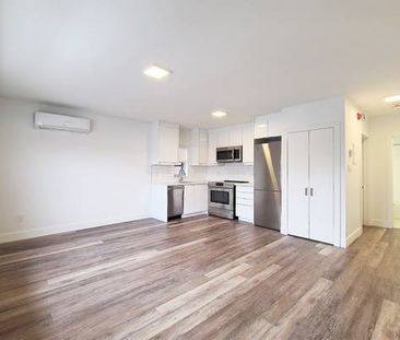 8 Castleton Ave: Live in this fully renovated 1bedroom 1bath apartment - Photo 3