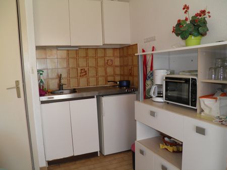 Location Appartement 1 pièce 18m² SETE 34200 - Photo 4