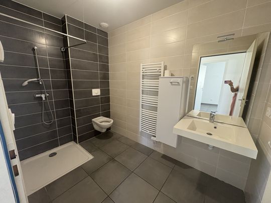 Location Appartement 3 pièces 54m² ST RAMBERT D ALBON 26140 - Photo 1