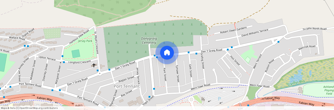 Danygraig Road, Port Tennant, Swansea