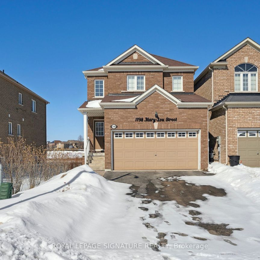 Detached Home For Lease | N8145064 - Photo 1