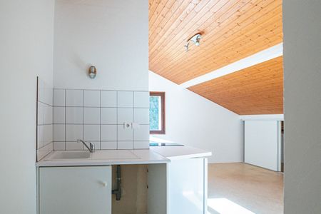 STUDIO 27.89 m² - ANNECY SECTEUR SEYNOD - Photo 3