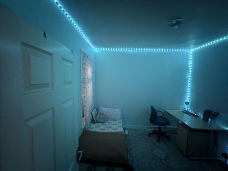 Room in a Shared House, Jephson Road, E7 - Photo 3
