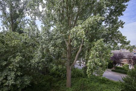 Fideliolaan, 260, Amstelveen - Photo 5