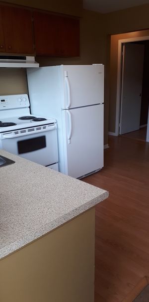 3 1/2 Secteur Universitaire - Photo 1