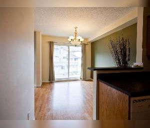 2 Bed 2 Bath Balcony Bisset SE Edmonton - Photo 3
