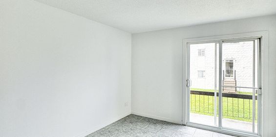 Studio - 914 Rue Désaulniers, Saint-Jean-sur-Richelieu - Photo 3