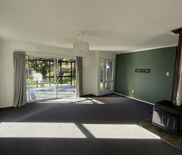 Sunny Family Home in Renwick - Photo 1