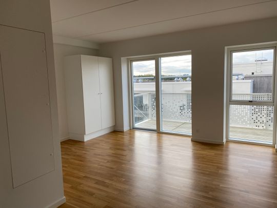 Stor 1'er med terrasse - Foto 1