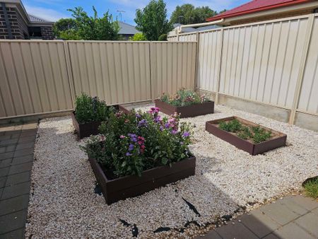 Edwardstown - Photo 3