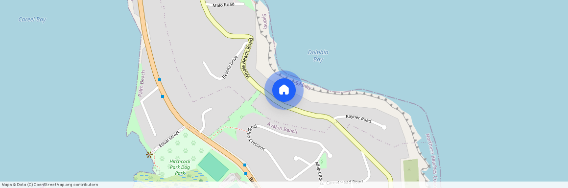 163 Whale Beach Road, NSW 2107