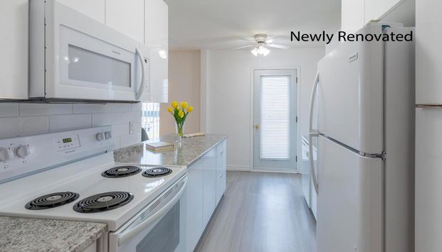 Lorentz Apartments - Photo 1