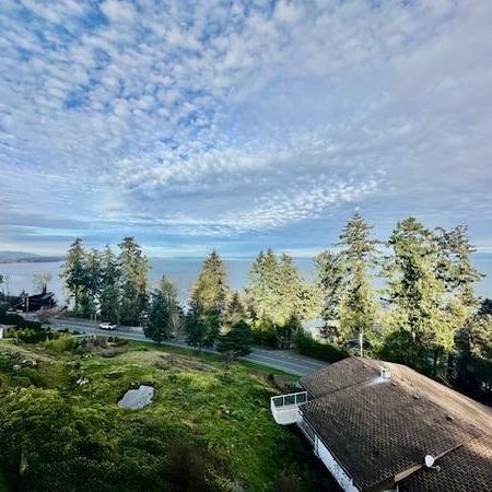 Top Floor 1 Bedroom with Den - 4550 Cordova Bay Road - Photo 3