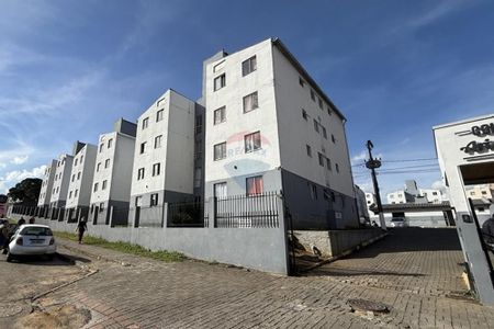 Apartamento para Locação – Bairro Várzea - Foto 3