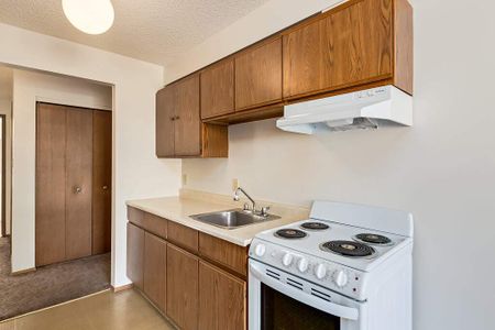 Renovated Suite - 1 Bedroom - Photo 5