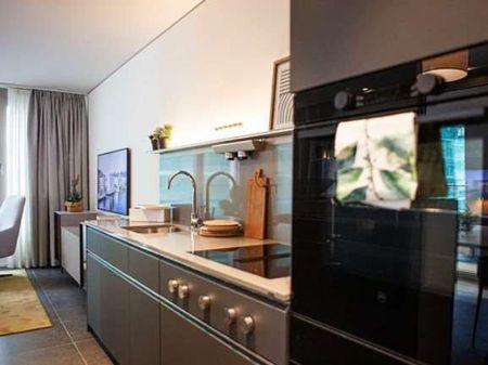 Fully furnished apartments in Paradiso - Photo 3