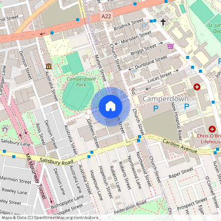 59 Fowler Street, Camperdown 2050, New South Wales