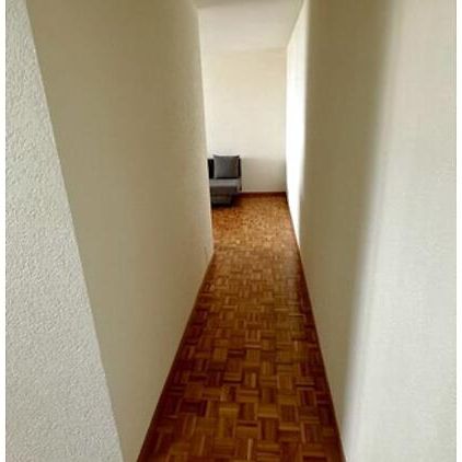 3 Zimmer-Wohnung in Grand-Lancy (GE), möbliert - Photo 1