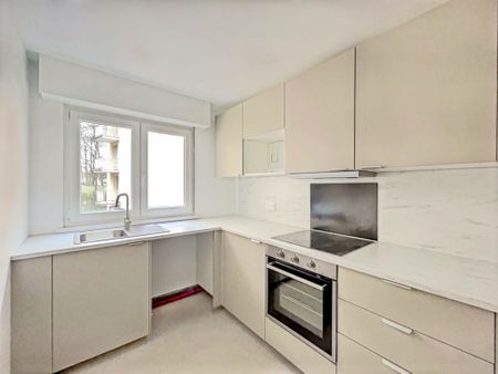 Location Appartement 3 pièces 63m² ECKBOLSHEIM 67201 - Photo 3