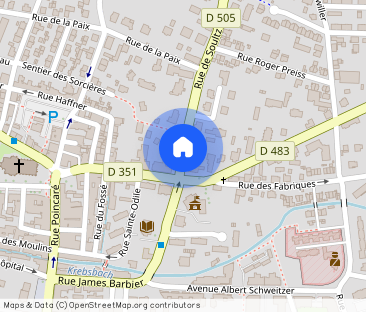 Appartement 2 pièces CERNAY - 2 pièce(s) - 57 m2 - Photo 1