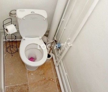 Studio 24 m² (ref: 2128297) - Photo 6