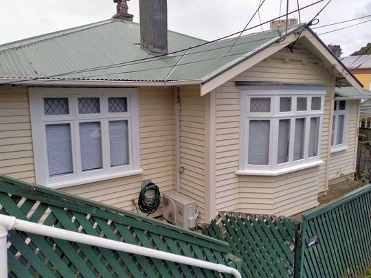 4BR Home in Mt. Cook -Close to Massey - Photo 1
