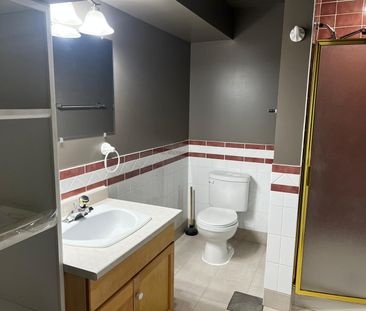 1 Bedroom Basement Suite in Westpark! Gas Fireplace! - Photo 3