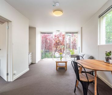 Unit 15/259 Domain Road, South Yarra. - Photo 6