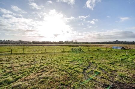 3 Bedroom Bungalow - Southampton Road, Landford - Photo 3