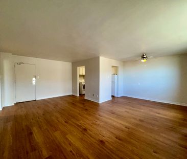 For Lease - 156 Fitch Street Unit# 411, Welland, Ontario - Photo 2