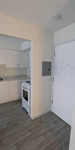 Newly renovated 1 Bdrm Apartment for rent - Photo 4