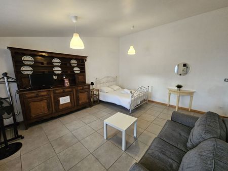 Location Appartement 2 pièces 55m² CHALAMONT 01320 - Photo 4