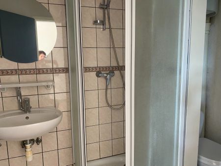 Location Appartement 1 pièce 30m² ALTKIRCH 68130 - Photo 5