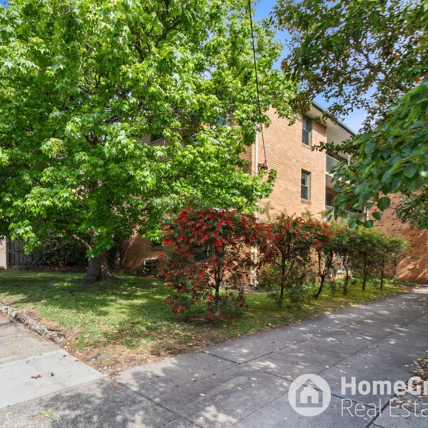 Renovated Hawthorn Apartment Offering Style and Convenience - Photo 1