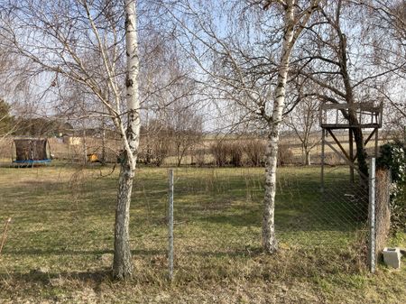 2 Zimmer Wohnung , +19 m² Kellerabteil im EG ,+Gemeinschaftsgarten von 1.270m² - Foto 5