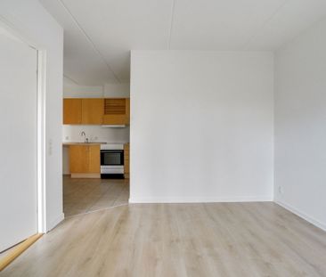 Hvenekildeløkken 190, 5240 Odense NØ - Foto 1