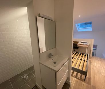Location Appartement 1 pièce 26m² LILLE 59000 - Photo 2