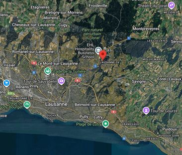 Rare! 4.5-room apartment (+1) garden level - Photo 6